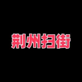 荆州扫街